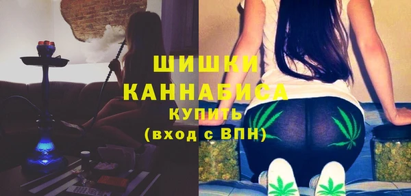 ешки Инта