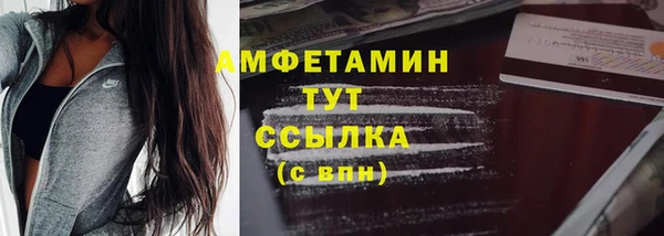 ПСИЛОЦИБИНОВЫЕ ГРИБЫ Инсар