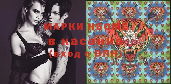 ПСИЛОЦИБИНОВЫЕ ГРИБЫ Инсар