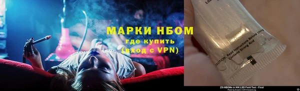 ешки Инта