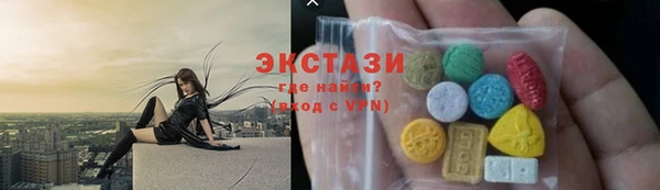 ешки Инта