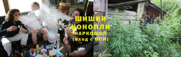ешки Инта