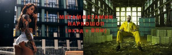 ПСИЛОЦИБИНОВЫЕ ГРИБЫ Инсар