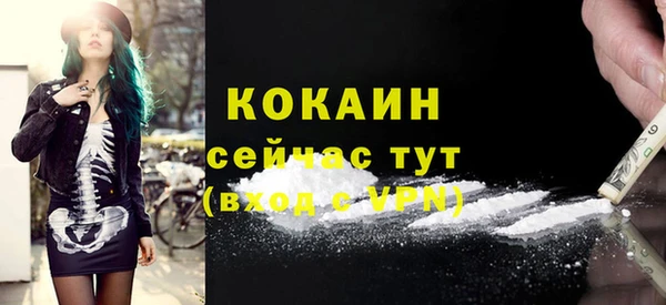 ПСИЛОЦИБИНОВЫЕ ГРИБЫ Инсар