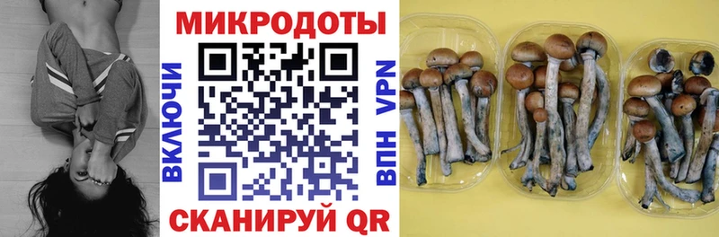Купить где  Сокол  Галлюциногенные грибы Magic Shrooms 